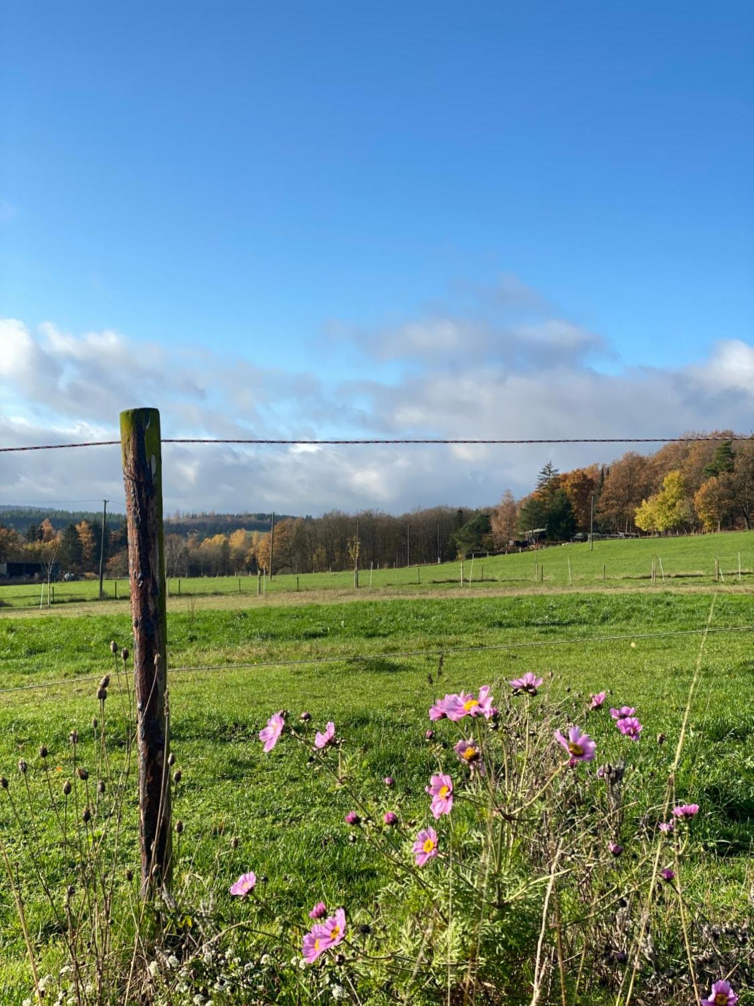 Eifel Ferienhaus Luna Ohlenhard Eksteriør bilde
