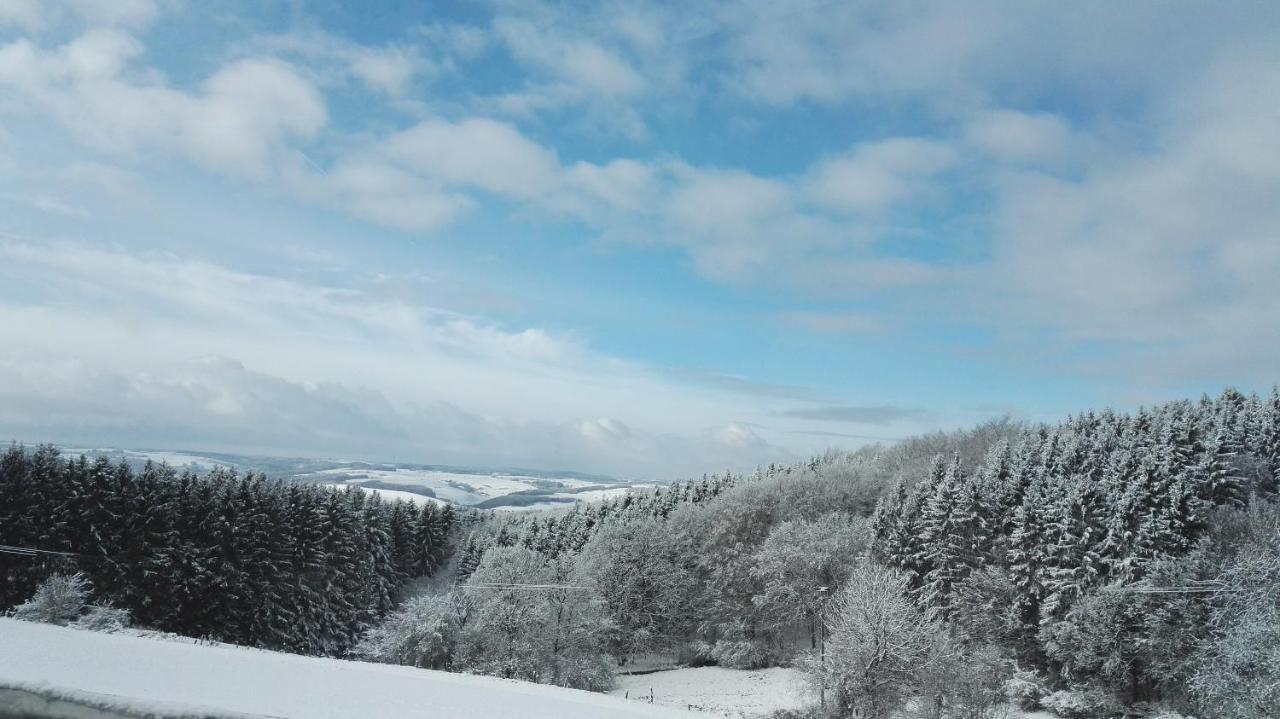 Eifel Ferienhaus Luna Ohlenhard Eksteriør bilde